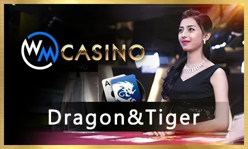 Sports Betting on Bingoplus Bingo Plus App